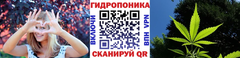 Купить наркотики Тотьма COCAIN  Меф мяу мяу  А ПВП  Каннабис  АМФ  Псилоцибиновые грибы  ГАШИШ 