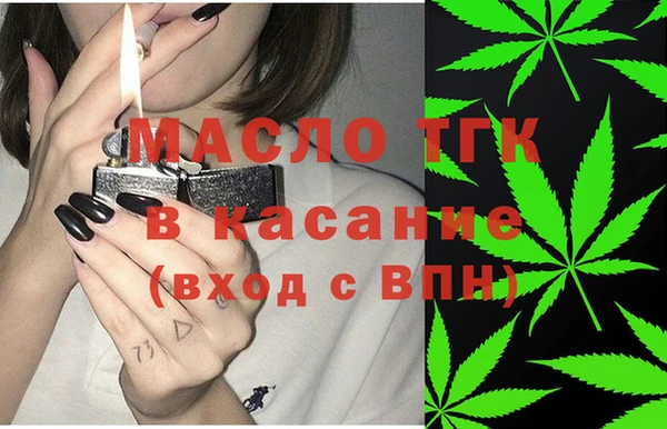 индика Снежинск