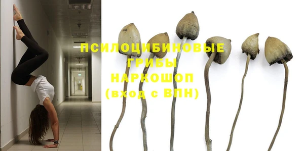 индика Снежинск