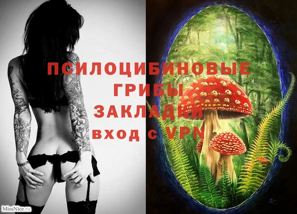 круглые Верея